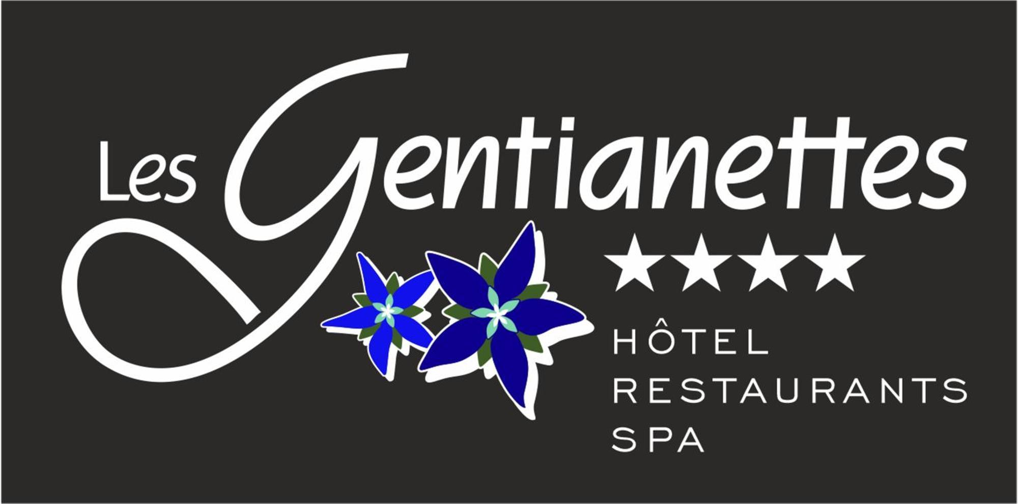 Les Gentianettes Hotel & Spa Ла-Шапель-д'Абонданс Экстерьер фото