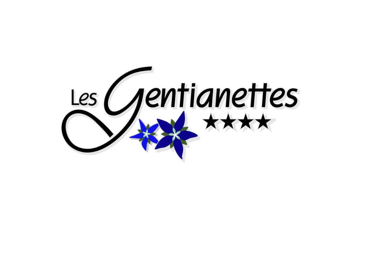 Les Gentianettes Hotel & Spa Ла-Шапель-д'Абонданс Экстерьер фото